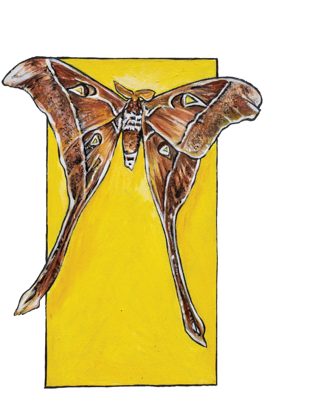 Bin Sticker - Hercules Moth