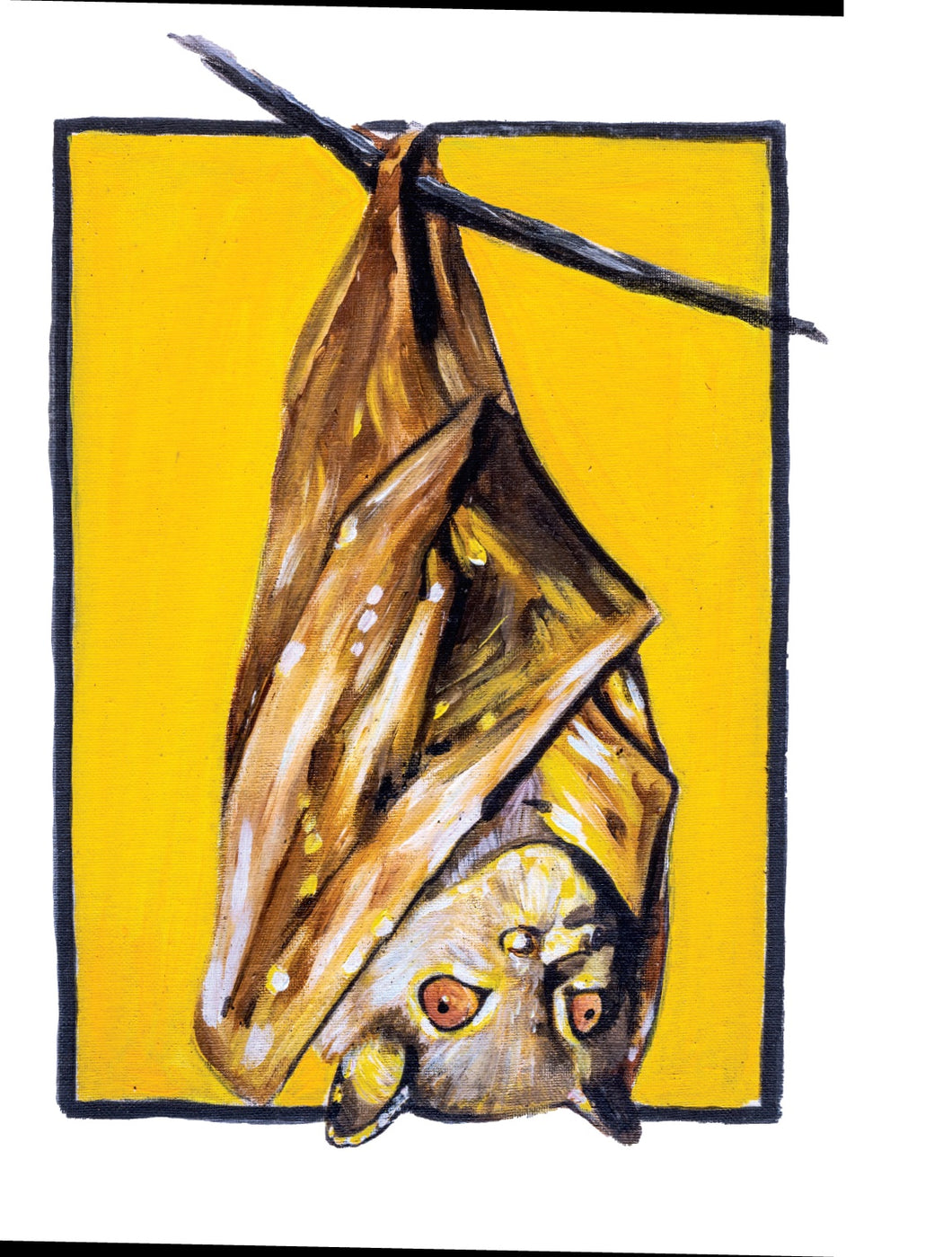 Bin Sticker - Tube-nosed Bat