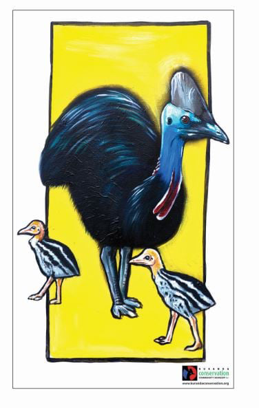 Bin sticker - Cassowary + Chicks – Kuranda Conservation Nursery